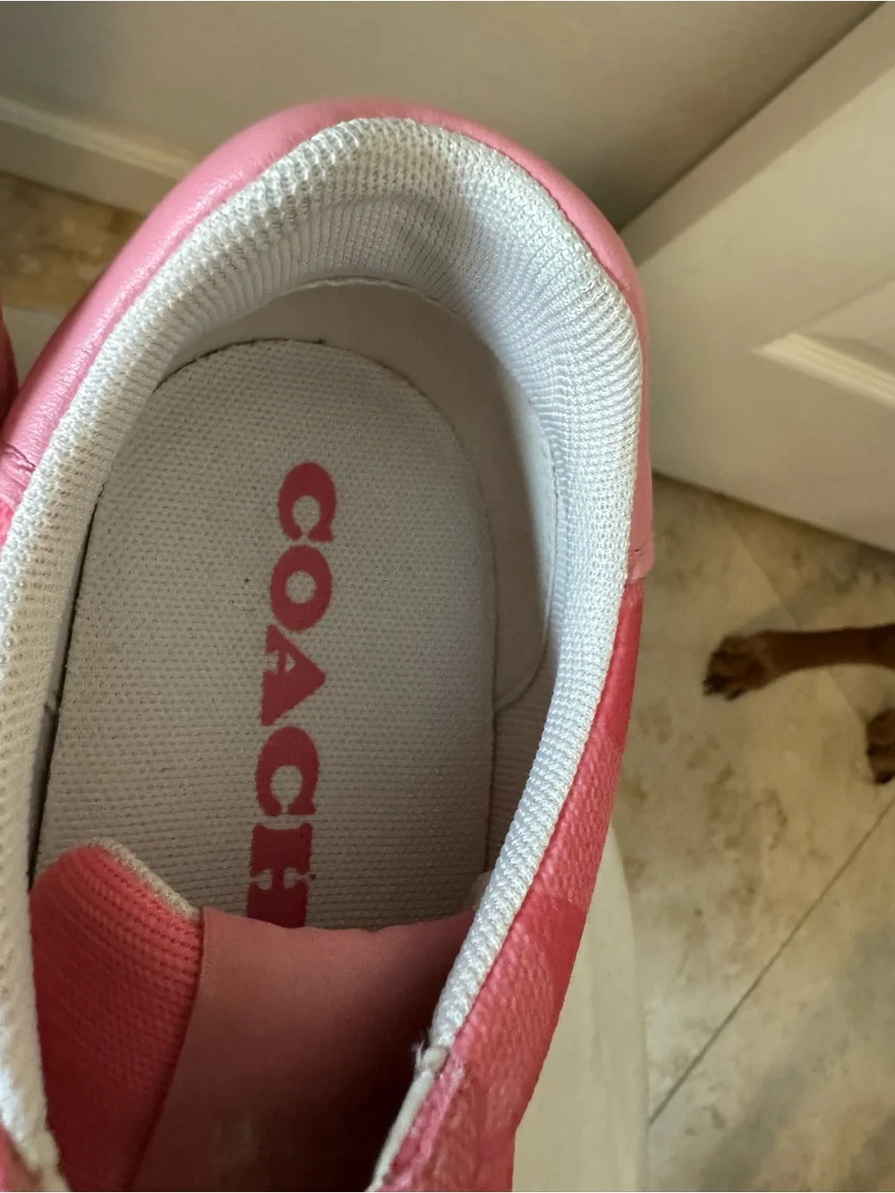 Coach low top